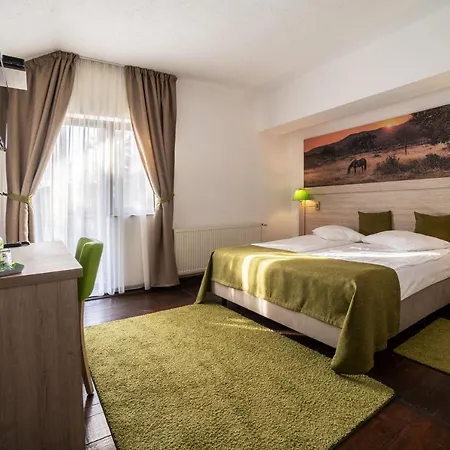 Hanul Din Padure Bed & Breakfast Danes